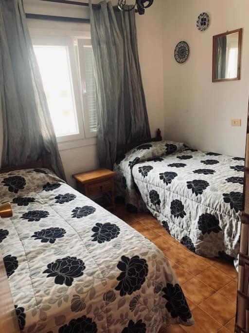 Haus Am Meer Torrevieja Dış mekan fotoğraf
